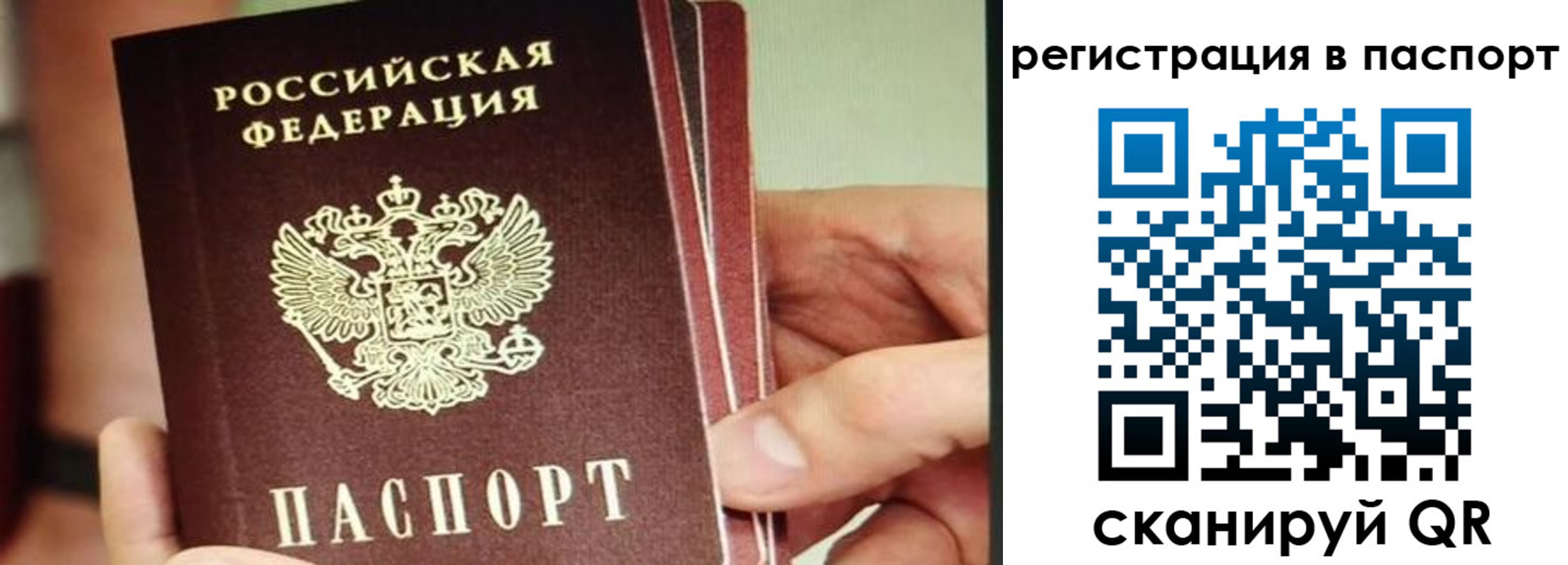 временная регистрация надежно в Исилькуле